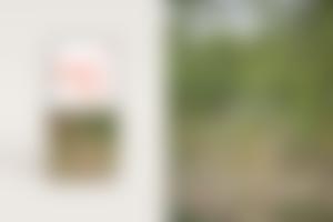 V jedlém lese rostou ovocné stromy v souladu s přírodou